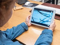 ¿Problemas de grasa y picor en el cabello? Le damos la solución