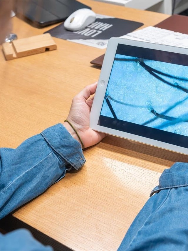 ¿Problemas de grasa y picor en el cabello?